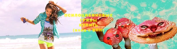 прущие крисы Бронницы
