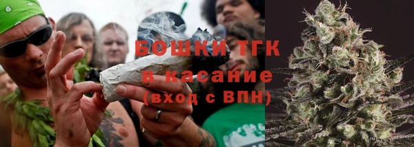 тгк Бородино