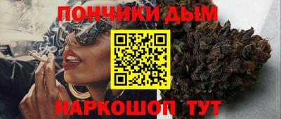 гидра Можга