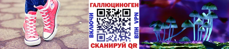 Галлюциногенные грибы Magic Shrooms  Горно-Алтайск 