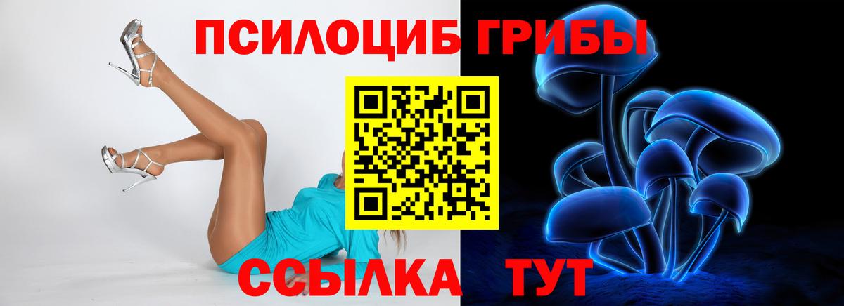 Псилоцибиновые грибы мухоморы  Галлюциногенные грибы ЛСД  Горно-Алтайск  Вход с VPN 