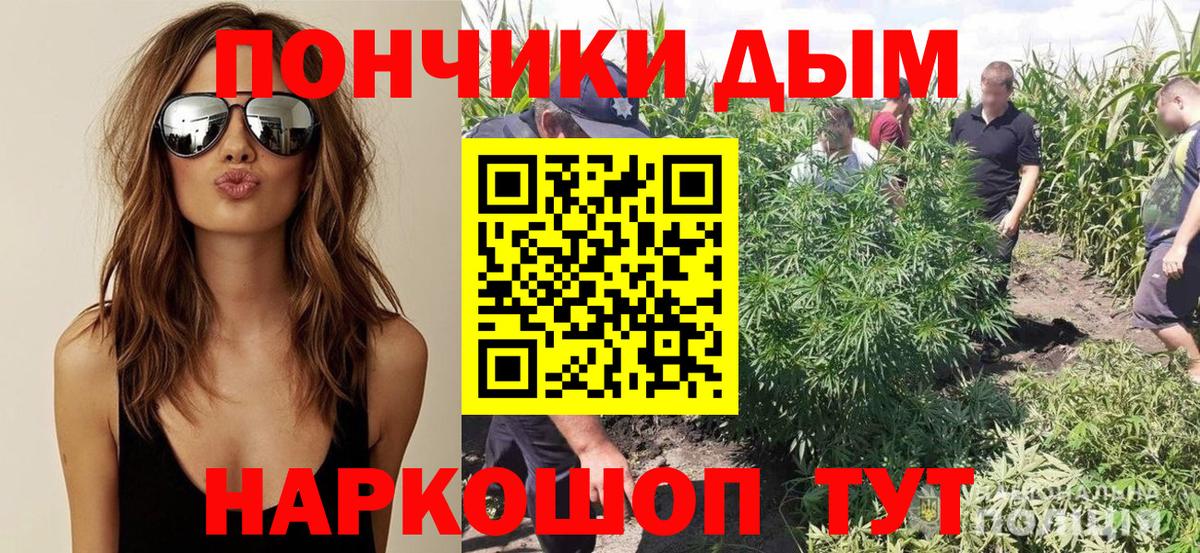 Горно-Алтайск  Марихуана THC 21%  Вход с VPN  Конопля THC 21% 